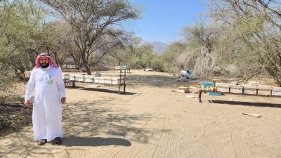 ‏بيئة العرضيات تنفذ جولات رقابية لتعزيز جودة العسل واستدامة تربية النحل