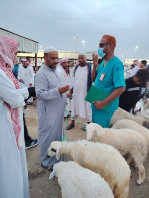 بيئة العرضيات تطلق حملة توعوية لتعزيز سلامة الأضاحي ورفع الوعي الصحي