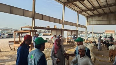 ‏بيئة مكة تكثّف جولاتها الرقابية على المسالخ وأسواق النفع العام استعدادًا لموسم الحج