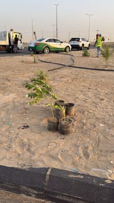 ‏“بيئة الليث” تُعزز الغطاء النباتي بميقات يلملم وتدعم الخدمات البيئية لضيوف الرحمن