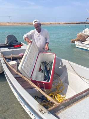 بيئة العاصمة المقدسة تكثّف جولاتها الرقابية على مرافئ الصيد بالشعيبة