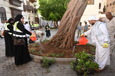 بيئة مكة والثقافة تشجران جدة التاريخية بزراعة 4000 شتلة ضمن المرحلة الاولى