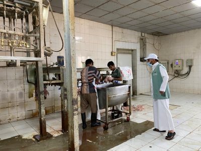 ‏رصد (٥٧) مزرعة للدواجن غير مرخصة، وبيئة مكة تتخذ الإجراءات النظامية تجاهها